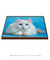 Quadro Decorativo Gato Branco na internet