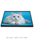 Quadro Decorativo Gato Branco - loja online