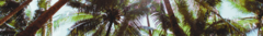 Banner da categoria liso