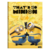 CADERNO BROCHURA MINIONS 96 FLS FORONI