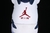 Air Jordan 6 Retro Olympic London na internet