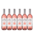 Vinho Rose Seco Casa Perini Solidario Merlot 750ml Caixa 6un