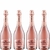 Espumante Moscatel Rose Sem Álcool Garibaldi Zero 750ml 6un