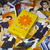 BTS "Butter" - Set de 40 Photocards en internet