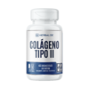 COLÁGENO TIPO 2 (60 CÁPSULAS) - HERBALIZE