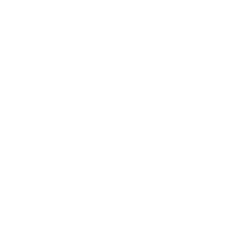 Shining Dream Mx