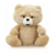 Urso Ted Pelúcia C/Compartimento Secreto