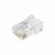 Conector Rj45 Macho