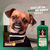 Shampoo Cães Citrus Grande Porte Sanol Dog 500Ml na internet