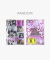 Mini Album 'The ReVe Festival 2022 - Birthday' (Photo Book Ver.) Random - Red Velvet