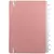 CADERNO INTELIGENTE GRANDE ROSE PASTEL na internet