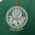 Camisa Feminina Palmeiras I 2024/25 - loja online