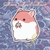 Cute Hamster con galletita