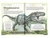 El magnífico libro de los dinosaurios - AAVV - Brainy Kids - elhogarlibros