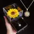 conjunto de regalo de collar de girasol, - comprar en línea