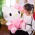 peluche de Hello Kitty - comprar en línea