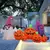 Decoración luminosa inflable para Halloween, - Sweet Angie