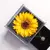 Imagen de conjunto de regalo de collar de girasol,