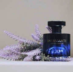 Imagen de Inebriante Fragancia Masculina 100ml