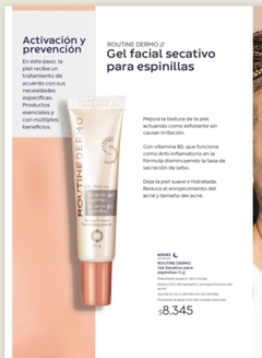 Gel Secativo de Espinillas ROUTINE DERMO 15g en internet