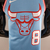 REGATA NIKE CHICAGO BULLS LAVINE - MASCULINO - loja online