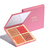 Palette Multifuncional Cor 02 Niina Secrets Luminous