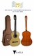 VIOLAO CLASSICO EAGLE* - comprar online