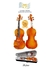 Violino Hofma HVE242 4/4 AJUSTADO POR LUTHIER PROFISSIONAL* na internet