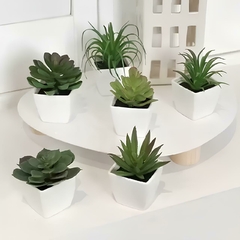 Mini Plantas Suculentas - comprar online