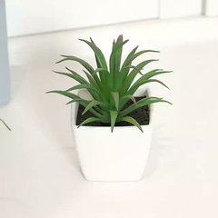 Mini Plantas Suculentas - loja online