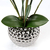 Imagen de Arreglo Orquidea Seda Artificial Maceta Ceramica Plata Tacto Natural