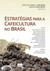 Estratégias para a Cafeicultura no Brasil - Autor: José Guilherme A. Nogueira & Marcos Fava Neves (organizadores) (2015) [seminovo]