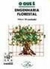 O que é Engenharia Florestal - Coleção Primeiros Passos 280 - Autor: Edson Struminski (1993) [usado]