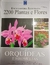 Enciclopédia Ilustrada. 2200 Plantas e Flores. Orquídeas e Bromélias - Vol 4 - Autor: Varios (2007) [seminovo]