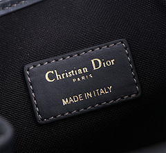 Bolsa Christian Dior Cest monogram - Elegância e Você