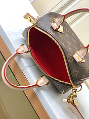 Imagem do Bolsa Louis Vuitton Baú pequena Speddy