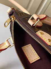 Bolsa Louis Vuitton na internet