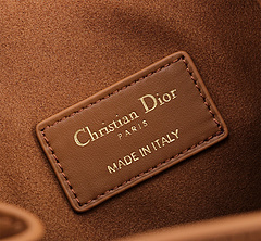 Bolsa Christian Dior Cest na internet