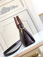 Bolsa Louis Vuitton - Elegância e Você