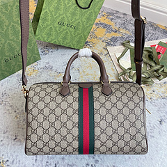 Bolsa Gucci Baú