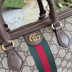 Bolsa Gucci Baú na internet