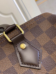 Imagem do Bolsa Louis Vuitton Baú Tradicional Speedy