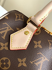 Bolsa Louis Vuitton Baú pequena Speddy na internet