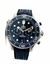 OMEGA - Seamaster en internet