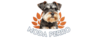 Moda Perro