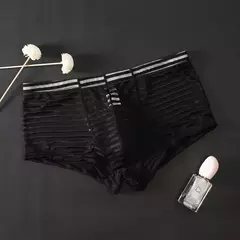 cueca boxer transparente na internet