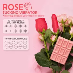 Rosa- sugador - vibrador