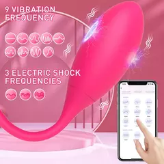 Vibrador Controle APP para Mulheres na internet