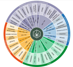 Aceite Sublingual con Extracto Completo - comprar en línea