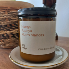 Vela de soja #03 con fragancia a Mango, Papaya y Flores blancas, en frasco de vidrio.